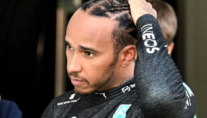mister lewis lux net worth
